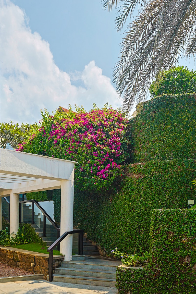 aménagement exterieur angers ouest